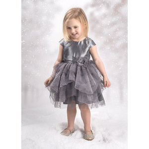 Isobella & Chloe Siver‎ Fancy Baby Infant Girls Dress NWT 24M Last 1